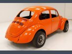 Thumbnail Photo undefined for 1969 Volkswagen Beetle